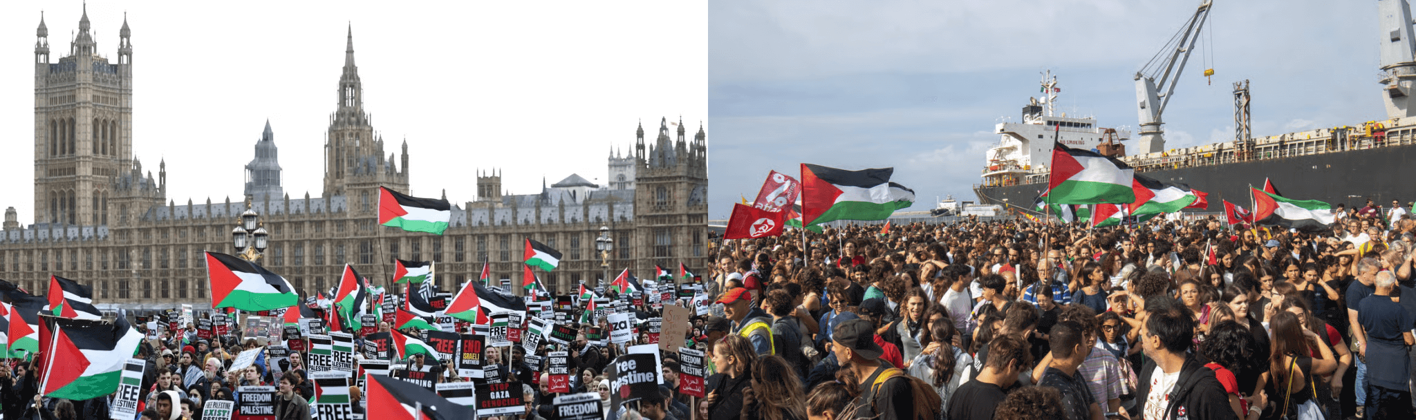 Protest action for Palestine